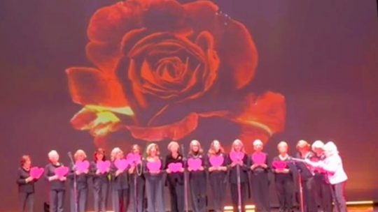 “ROSE ROSSE” a favore dell’Ospedale Pediatrico di Padova